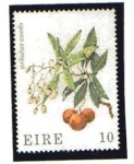 Stamps Ireland -  Flora
