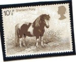 Stamps United Kingdom -  Caballos de raza Británica