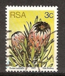 Sellos de Africa - Sudfrica -  Protea neriifolia,