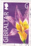 Sellos de Europa - Gibraltar -  flores