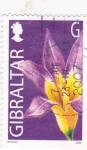 Stamps : Europe : Gibraltar :  flores