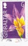 Stamps Gibraltar -  flores