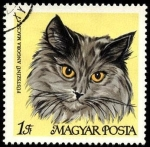 Sellos de Europa - Hungr�a -  Gato angora gris. 1968.
