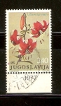 Stamps : Europe : Yugoslavia :  LIRIO