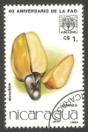 Stamps Nicaragua -  40 anivº de la FAO, marañon