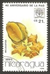 Stamps Nicaragua -  40 anivº de la FAO, melocotón 