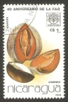 Stamps Nicaragua -  40 anivº de la FAO, zapote