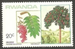 Sellos de Africa - Rwanda -  hagenia abyssinica