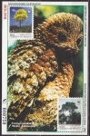 Stamps Bolivia -  HB - Pro exposiciones Filatelicas