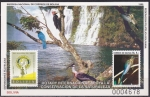 Stamps Bolivia -  HB - Pro exposiciones Filatelicas