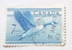 Stamps : America : Canada :  FAUNA