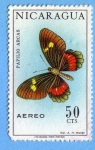 Stamps Nicaragua -  Papilo Arcas