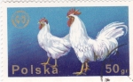 Stamps Poland -  gallos
