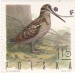 Stamps Poland -  ave