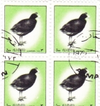 Stamps United Arab Emirates -  aves -Ajman