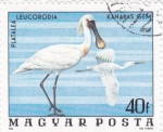 Stamps Hungary -  aves
