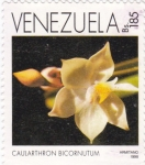 Stamps Venezuela -  caularthron bicornutum