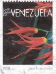 Stamps : America : Venezuela :  ada aurantiaca