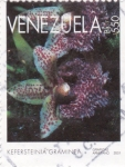 Stamps : America : Venezuela :  kefersteinia graminea