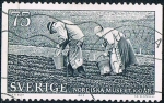 Stamps Sweden -  CENT. DEL MUSEO NÓRDICO. PLANTACIÓN DE PATATAS. Y&T Nº 804