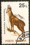 Sellos de Europa - Rumania -  RUPICAPRA RUPICAPRA