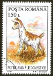 Stamps Romania -  PUI DE ANIMALE DOMESTICE