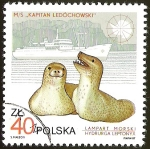 Sellos de Europa - Polonia -  LAMPART MORSKI - HYDRURGA LEPTONYX