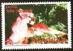 Stamps Nicaragua -  PUMA FELIS CONCOLOR