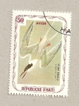 Stamps America - Haiti -  Sterna dougalli