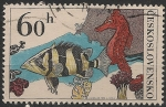 Stamps : Europe : Czechoslovakia :  Tropical Fish. Sc2008