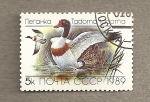Stamps Russia -  Ave Tardona tardona