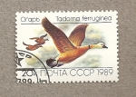 Stamps Russia -  Ave Tardona ferruginea