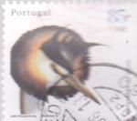 Stamps Portugal -  aves