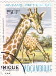 Sellos de Africa - Mozambique -  animales protegidos-jirafa camelopardalis