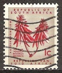 Stamps : Africa : South_Africa :  Kafferboom Blom-Arbol de coral costero.