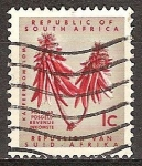 Stamps South Africa -  Kafferboom Blom-Arbol de coral costero.