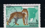 Stamps Hungary -  Leopard