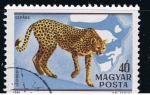 Stamps Hungary -  Gepard
