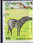 Stamps : Africa : Republic_of_the_Congo :  Equs quagga
