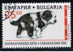 Sellos del Mundo : Europa : Bulgaria : Carakachan dog