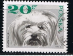 Stamps Poland -  Malta´nczyk