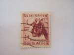 Stamps Africa - South Africa -  africana