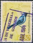 Sellos de America - Venezuela -  PÁJAROS DIVERSOS. AZULEJO GOLONDRINA (TERSINA VIRIDIS) Y&T Nº 664