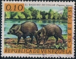 Stamps : America : Venezuela :  FAUNA SALVAJE. BAQUIRO DE COLLAR (TAGASSU TAJACU) Y&T Nº 669