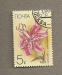 Sellos de Europa - Rusia -  Flor Lilium.speciosum