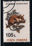 Stamps Romania -  Elionys Quercinus
