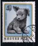 Stamps : Europe : Hungary :  Canis familiaris