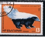Stamps : Europe : Bulgaria :  Conepatus leuconotus