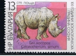 Stamps : Europe : Bulgaria :  Ceratotherium simun