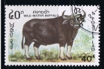 Stamps Laos -  Wild Water buffalo